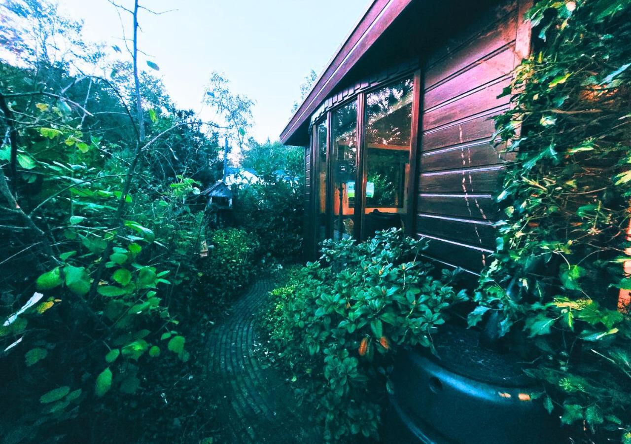 "De Jungle" Chalet Met Veranda Op Ijsselheide Hattemerbroek Veluwe Екстер'єр фото
